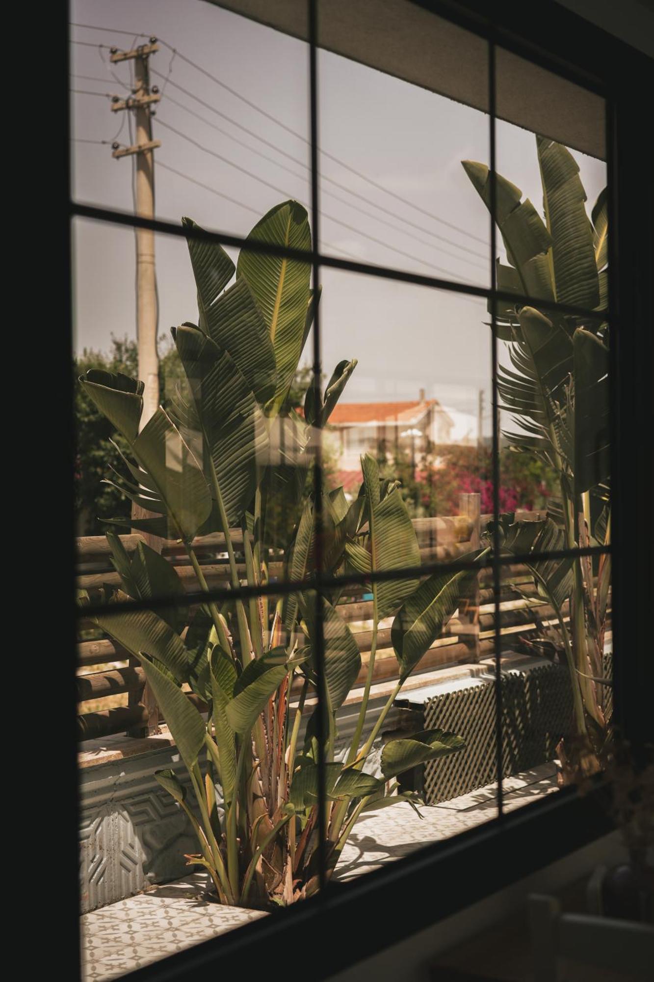 La Vida Otel Urla Buitenkant foto